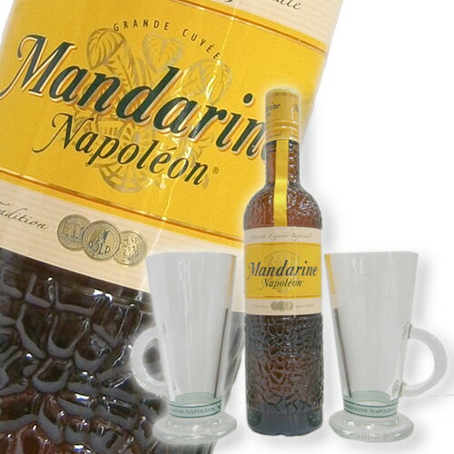 マンダリン ナポレオン 38% 500ml グラス2個付き