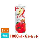 【送料無料】ジューシー アップル 100 パック 1000ml 6本セット JA熊本 フルーツジュース 1ケース