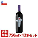 yz~VIlX Jl[ 750ml 12{Zbg ` ԃC