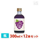 【送料無料】中埜 國盛 フルリア ぶどうのお酒 300ml 12本セット 中埜酒造 リキュール 果実系