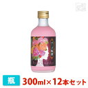 【送料無料】中埜 國盛 ローズ梅酒 300ml 12本セット 中埜酒造 リキュール 果実系
