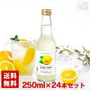 \ ɂ炲ƃT[ 6% 250ml 24{Zbg `[nC JNe