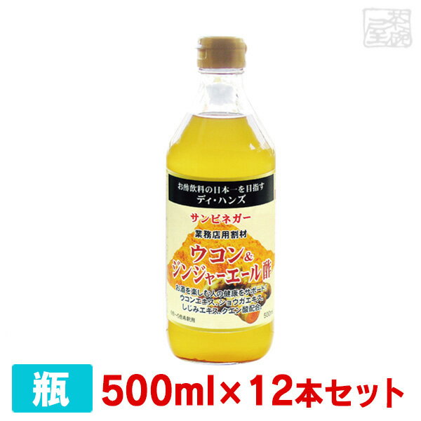 サンビネガー ウコン＆ジンジャエール酢 500ml 12本セット 瓶 業務用 割り材 希釈用