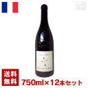 シャトー・ヌフ・デュ・パプ 750ml 12本セット 赤ワイン ヘヴィ（フルボディ） フランス