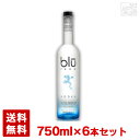 ブルーフロッグ ウォッカ 40度 750ml 6本セット フランス スピリッツ