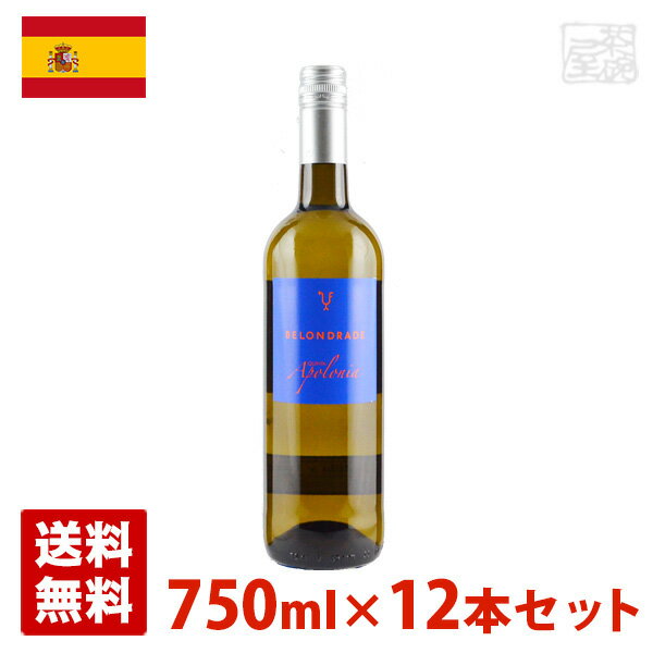 キンタ・アポロニア 750ml 12本セット 白ワイン スペイン 送料無料