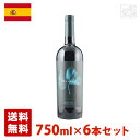 xK}EZo 750ml 6{Zbg ԃC XyC 