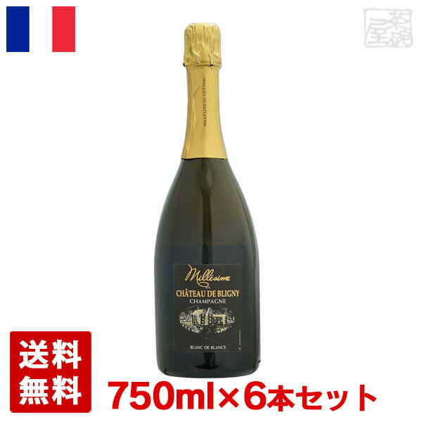 シャンパーニュ・シャトー・ド・ブリニ・ブラン・ド・ブラン・ミレジム 750ml 6本セット 白泡 スパークリングワイン 辛口 フランス