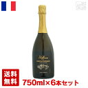 シャンパーニュ・シャトー・ド・ブリニ・ブラン・ド・ブラン・ミレジム 750ml 6本セット 白泡 スパークリングワイン 辛口 フランス