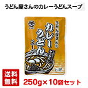 【送料無料】マルテン うどん屋さんのカレーうどんスープ 250g 10袋セット 日本丸天醤油 ※賞味期限2025年12月18日
