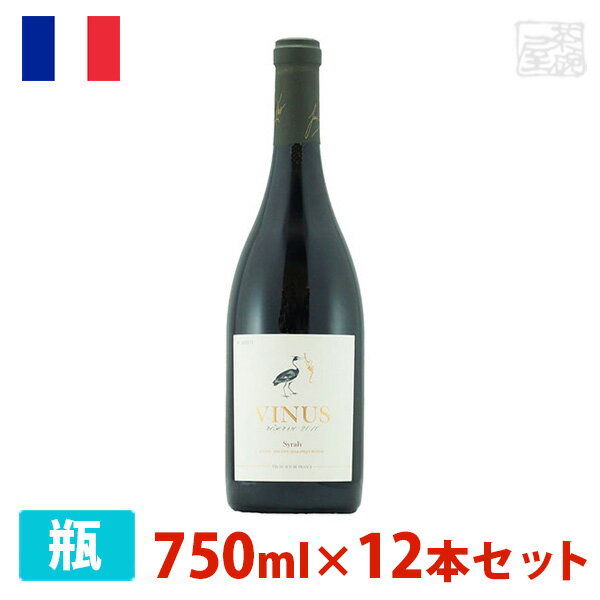 ̵ۥ˥ ꥶ 顼 750ml 12ܥå ֥磻 ɸ ե