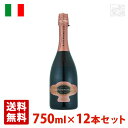 【送料無料】ブオナミーコ パティコラーレ スプマンテ ブリュット ロゼ 750ml 12本セット ロゼワイン 辛口 イタリア