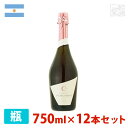 【送料無料】ミッシェル・トリノ スパークリング ロゼ 750ml 12本セット ロゼワイン 泡 辛口 アルゼンチン