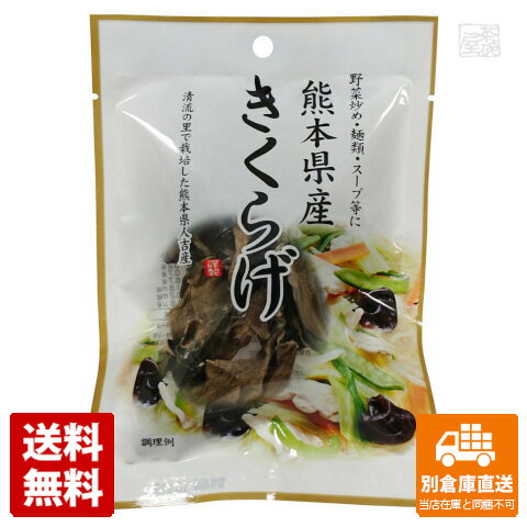 フジサワ 熊本県産きくらげ 10g x10 セット 【送料無料 同梱不可 別倉庫直送】 1