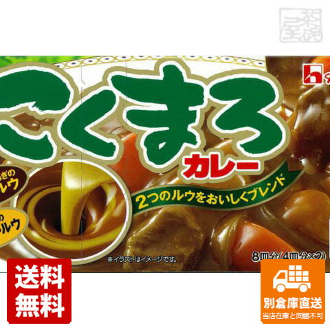 ハウス こくまろカレー 中辛 140g x10 セット 【送料無料 同梱不可 別倉庫直送】