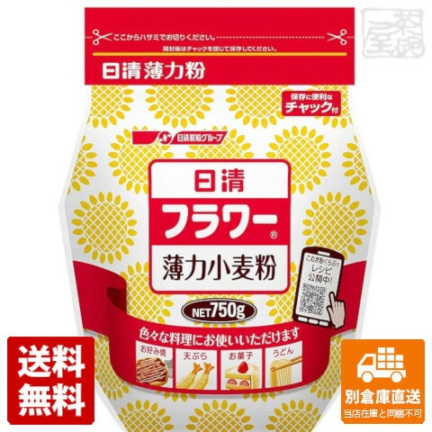 日清フーズ フラワー チャック付 750g x15 セット 【送料無料 同梱不可 別倉庫直送】