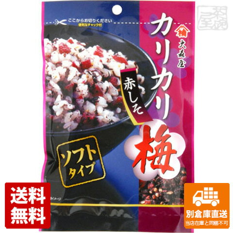 大森屋 カリカリ梅 赤しそ 40g x10 セット 【送料無料 同梱不可 別倉庫直送】