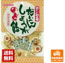 川口製菓　だいこんしょうがのど飴　108g　x 10 【送料無料 同梱不可 別倉庫直送】