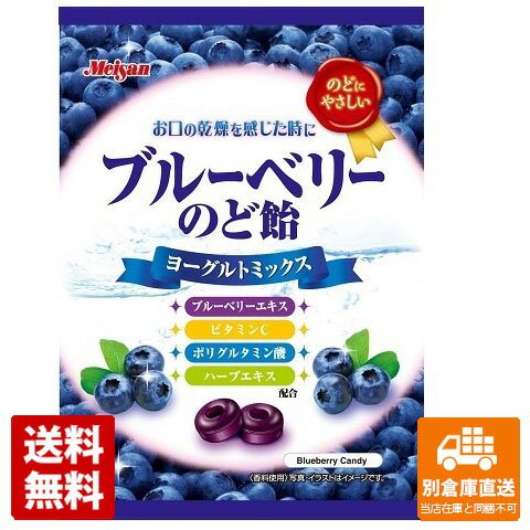 明治産業　ブルーベリーのど飴　64g　x 10 【送料無料 同梱不可 別倉庫直送】