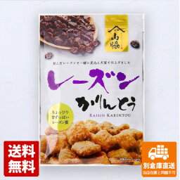 山脇製菓　レーズンかりんとう　105g　x 12袋 【送料無料 同梱不可 別倉庫直送】