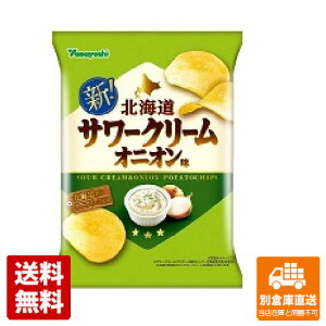 山芳製菓　ポテトチップス　サワークリームオニオン味　47g x 12袋 【送料無料 同梱不可 別倉庫直送】