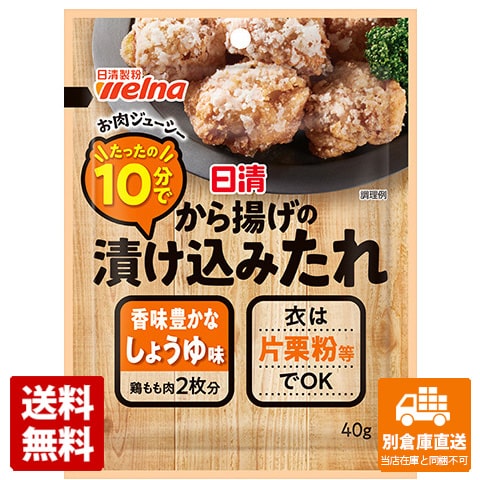 日清製粉ウェルナ から揚げの漬け込みたれしょうゆ 40g x 10 【送料無料 同梱不可 別倉庫直送】