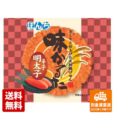 ぼんち 味かるた 辛子明太子 1枚 x 20 【送料無料 同梱不可 別倉庫直送】