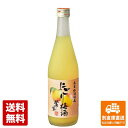 本家松浦酒造 にごり梅酒 500ml 1本 【送料込み 同梱不可 蔵元直送】