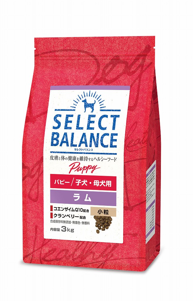 【25日限定エントリー＆抽選でP100％＋クーポン】【賞味期限2026年12月31日】【選べるおやつ ...