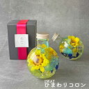 \最短翌日お届け!/2WAYボトル 選べるメッセージカード付き ひまわり-コロンタイプ- 母の日 お誕生日 お見舞い 歓送迎会 卒業祝い 入学祝い