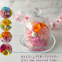 ショッパー(手提げ袋付き)ガラスドームプリザーブドフラワー 敬老の日 結婚祝い 誕生日 出産祝い 開業祝い お悔み 母の日 父の日(4)