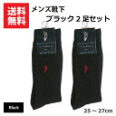 ウエスタン ポロ テキサス WESTERN POLO TEXAS 靴下 くつ下 2足セット メンズソックス 紳士靴下 PGC530 2set ブラック 黒 ワン...