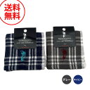 ウエスタン ポロ テキサス WESTERN POLO TEXAS 2枚セット ミニハンカチ ガーゼハンカチ ハンドタオル 手拭き チェック 2枚組 ラッピング ...