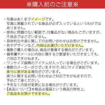 数量限定 超お得！ レディース服 福袋セット 秋冬トップス＋パンツ＋スカート＋アウター混合10点 送料無料