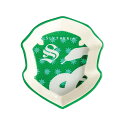 ファセットハリーポッター Facets Harry Potter スリザリン トリンケット ディッシュ 小物皿 雑貨 小物入れ 6016292 ハリーポッター ...