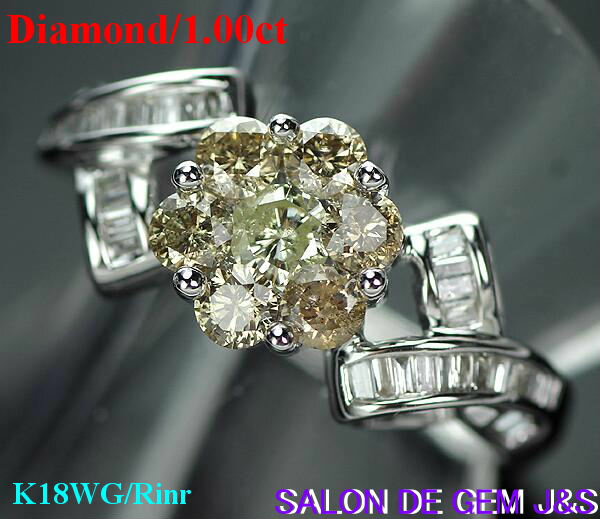 楽天SALON　DE　GEM　J＆S【新品】【1カラット】【上質】【K18WG：高級天然ダイヤモンド　WGリング】（D 1．00ct）＃12【フラワーモチーフ】【総重量：約4．2gの重量感】【ハードケース付】【赤字大処分】【現品お届け】【送料無料】【楽ギフ_包装】