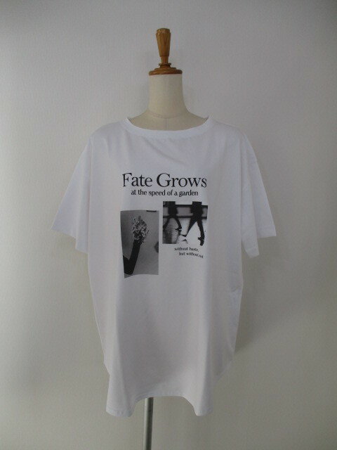 送料無料 アンナケリー ANNAKERRY フォトプリントT 85262919 フォトプリント Tシャツ 大人っぽい モノクロ 滑らか 肌触り ゆったり リラックス 女性らしい ラウンド裾 抜け感 WHITE