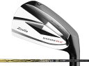 Zodia (ゾディア) DIAMOND BR III アイアン 5-Pw Basileus BiZ70/90シャフト
