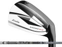 Zodia (ゾディア) DIAMOND BR III アイアン 5-Pw Basileus Tour Iron BTIシャフト