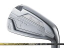 RomaRo (ロマロ) Ray H S20C/S25C アイアン 5-Pw Basileus BiZ70/90シャフト