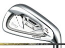 RomaRo (ロマロ) Ray Type R PLUS アイアン 5-Pw Basileus BiZ70/90シャフト