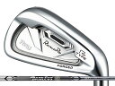 RomaRo (ロマロ) Ray Type R PLUS アイアン 5-Pw Basileus Tour Iron BTIシャフト
