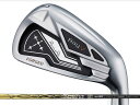 RomaRo (ロマロ) Ray V2 アイアン 5-Pw Basileus BiZ70/90シャフト
