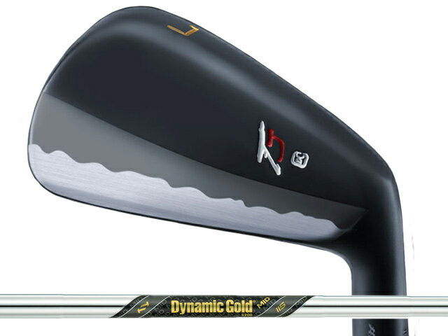 Takumi Japan (匠ジャパン) TYPE T アイアン 5-Pw　Dynamic Gold MID 115シャフト