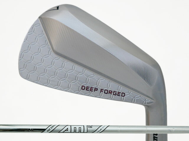 Muziik (ムジーク) Deep Muscle 2 Forged アイアン #6-Pw (5本セット)　Dynamic Gold AMT TOUR WHITEシャフト