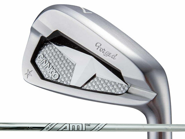 Rakuten - GINNICO (ジニコ) PC アイアン 6-Pw (5本セット)　Dynamic Gold AMT TOUR WHITEシャフト