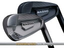 BALDO (バルド) 2024 TT FORGED IRON DC 5-Pw　Dynamic Gold 85シャフト