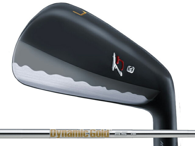 Takumi Japan (匠ジャパン) TYPE T アイアン 5-Pw　Dynamic Gold 85シャフト