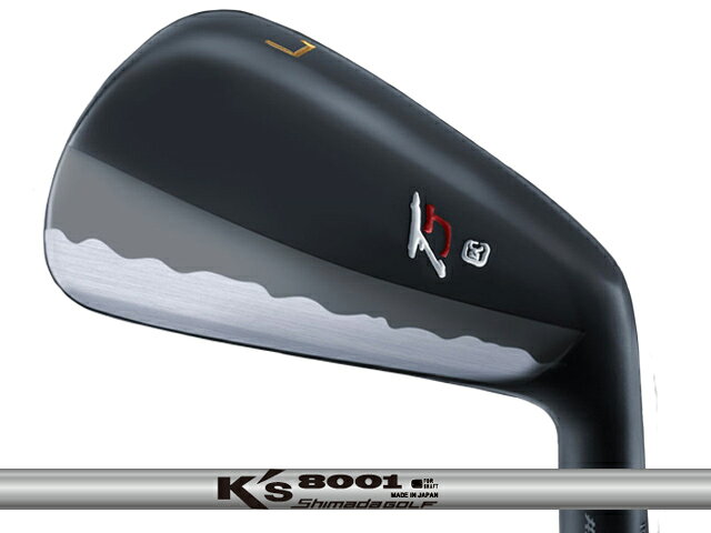 Takumi Japan (匠ジャパン) TYPE T アイアン 5-Pw　K's 8001シャフト