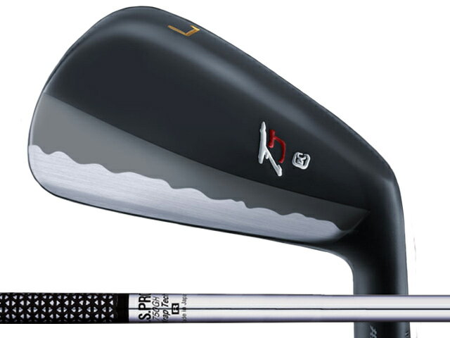 Takumi Japan (匠ジャパン) TYPE T アイアン 5-Pw　N.S.PRO 750GHシャフト